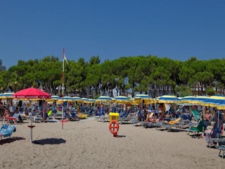 Apartment Alba Adriatica Environment 40