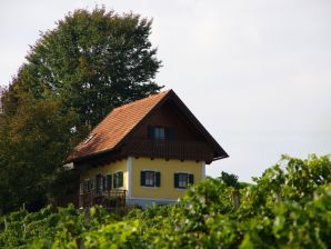 Vakantiehuis Weingartenhaus "Kellerstöckl" - Straden - image1