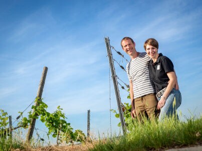 Firma Weingut Breunig - Herr Jürgen Breunig