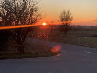 Der Blick Richtung Marsch