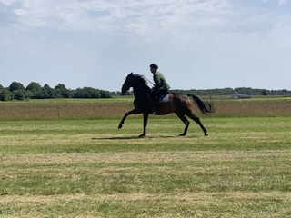 Tradition auf Föhr: Ringreiten