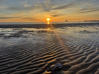 Das Wattenmeer mit Fähre im Hintergrund