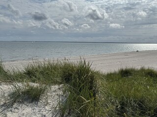 Holiday apartment Midlum auf Föhr Environment 29