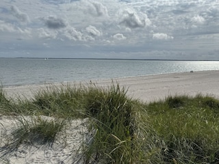 Sicht über eine Düne am Utersumer Strand