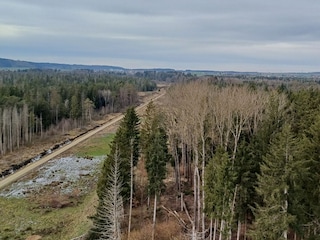 Pfrungener Ried
