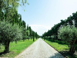 Villa Saint-Andiol Buitenaudio-opname 26