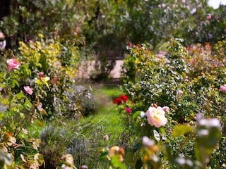Villa Saint-Andiol  102