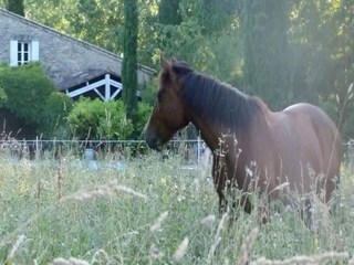 Villa L'Isle-sur-la-Sorgue  44