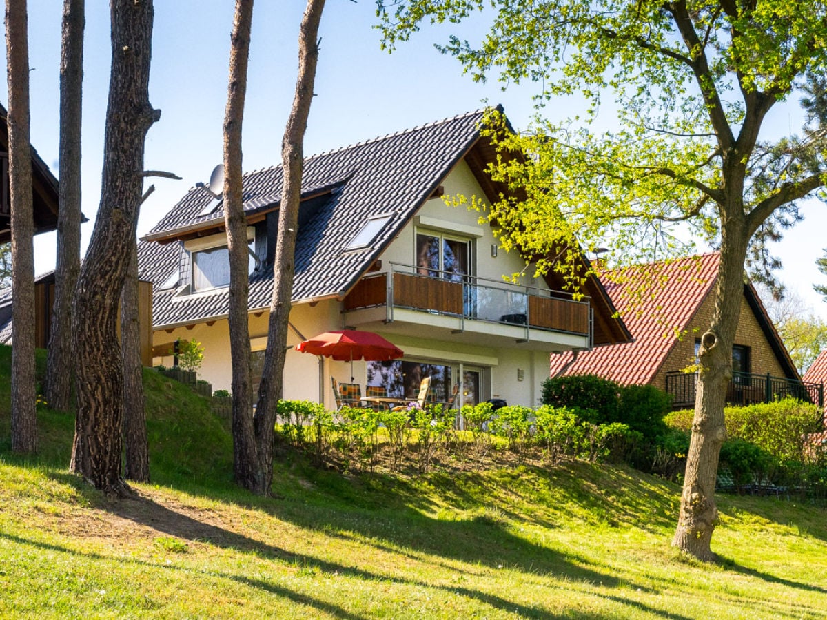 Blick auf das Ferienhaus Kranichruf