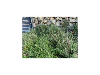 Casa de vacaciones Kołczewo Grabación al aire libre 4