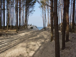 Casa de vacaciones Mielenko Entorno 20