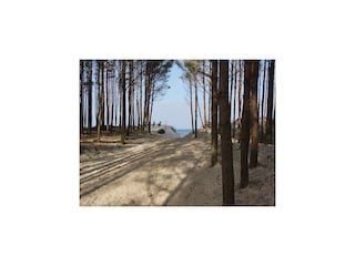 Vakantiehuis Mielenko Omgeving 15