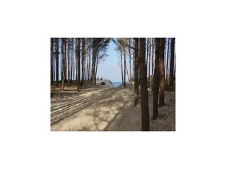 Holiday house Mielenko Environment 32