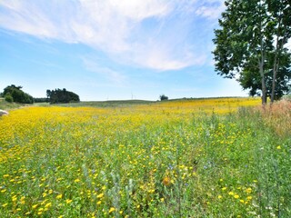 Vakantiehuis Krag Omgeving 29