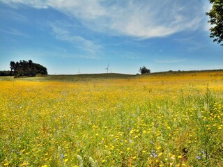 Casa per le vacanze Krag Ambiente 30