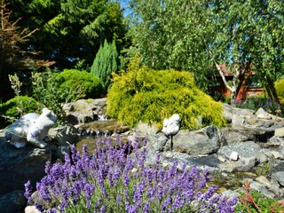 Appartement Darlowo Omgeving 12