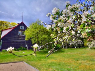 Vakantiepark Polanow Buitenaudio-opname 15
