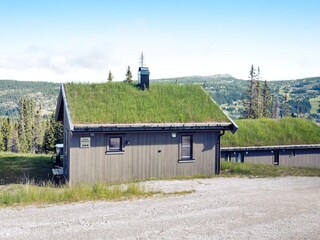 Ferienhaus Fåvang Außenaufnahme 10