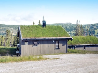 Ferienhaus Fåvang Außenaufnahme 11