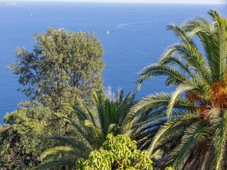 Villa Theoule-sur-Mer Environment 44