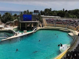 Apartment Antibes Umgebung 14