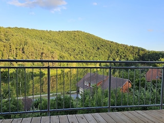 Ferienwohnung Nieder-Werbe Außenaufnahme 4