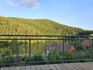 Ferienwohnung Nieder-Werbe Außenaufnahme 4