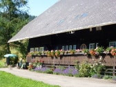 Ihr Balkon im sommerlichen Blumenschmuck