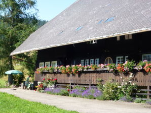 Ferienwohnung Ferme de Kammbühl