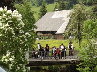 Spring in Menzenschwandertal