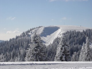 The mountains of Herzogenhorn