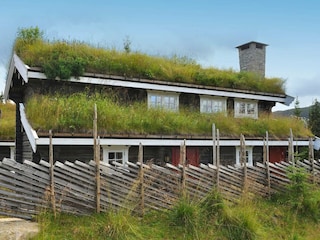 Ferienhaus Fåvang Außenaufnahme 3