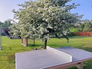 Holiday house Kołczewo Outdoor Recording 8