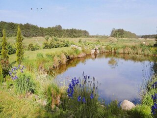 Parc de vacances Grzybowo  39