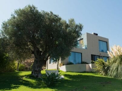 Mr Apostolos Fitsakis