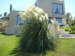 Villa Well Being Iremia, liebevoll bepflanzter Garten