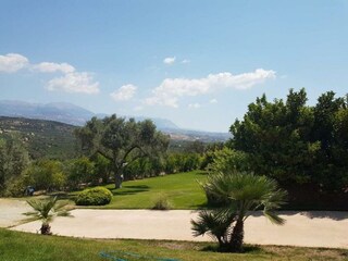 Park-like garden  with lawn, olive trees and palm trees