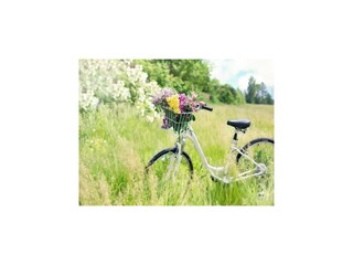 Vakantiepark Przechlewo Omgeving 36