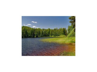Ferienpark Wielki Klincz Umgebung 31