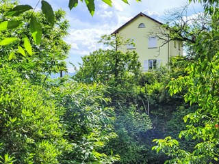 Villa Locarno-Minusio Außenaufnahme 10