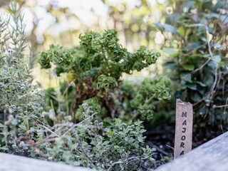 69 - Gauahof-Latschau2023-NFP-69