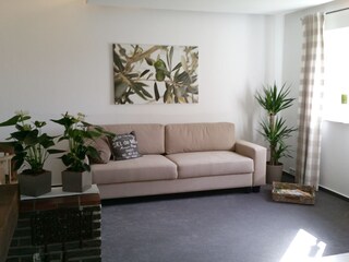 Sofa bed in the living room