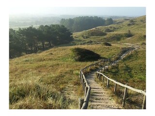 Ferienwohnung Bergen (Holland) Umgebung 10