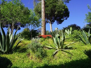 Vakantiehuis Cavalaire-sur-Mer Buitenaudio-opname 14