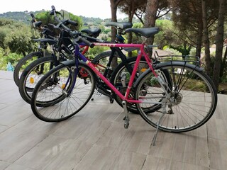 Wir vermieten kostenlos bis zu 3 Fahrräder.