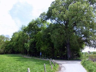 Ferienhaus Margraten Umgebung 28