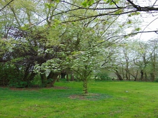 Ferienpark Brecht Umgebung 9