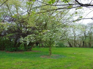 Parc de vacances Brecht Environnement 7