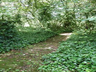 Parc de vacances Brecht Environnement 12