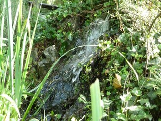 Holiday park Brecht Environment 10